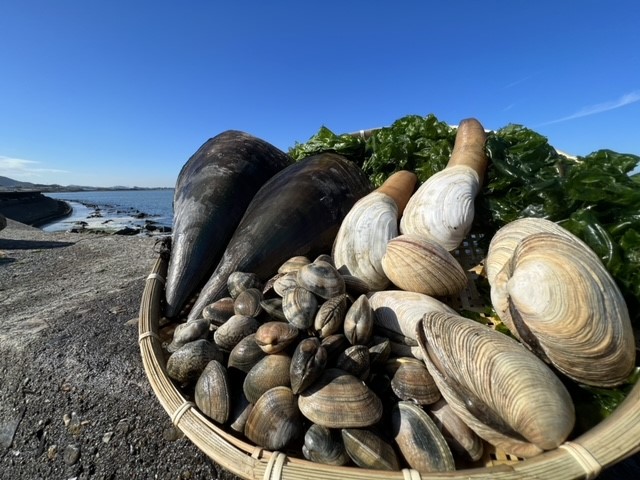 有限会社浩漁水産
