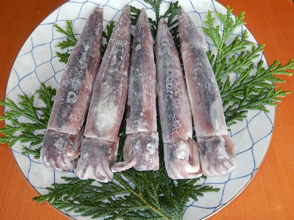 石川県産　船内凍結するめいか