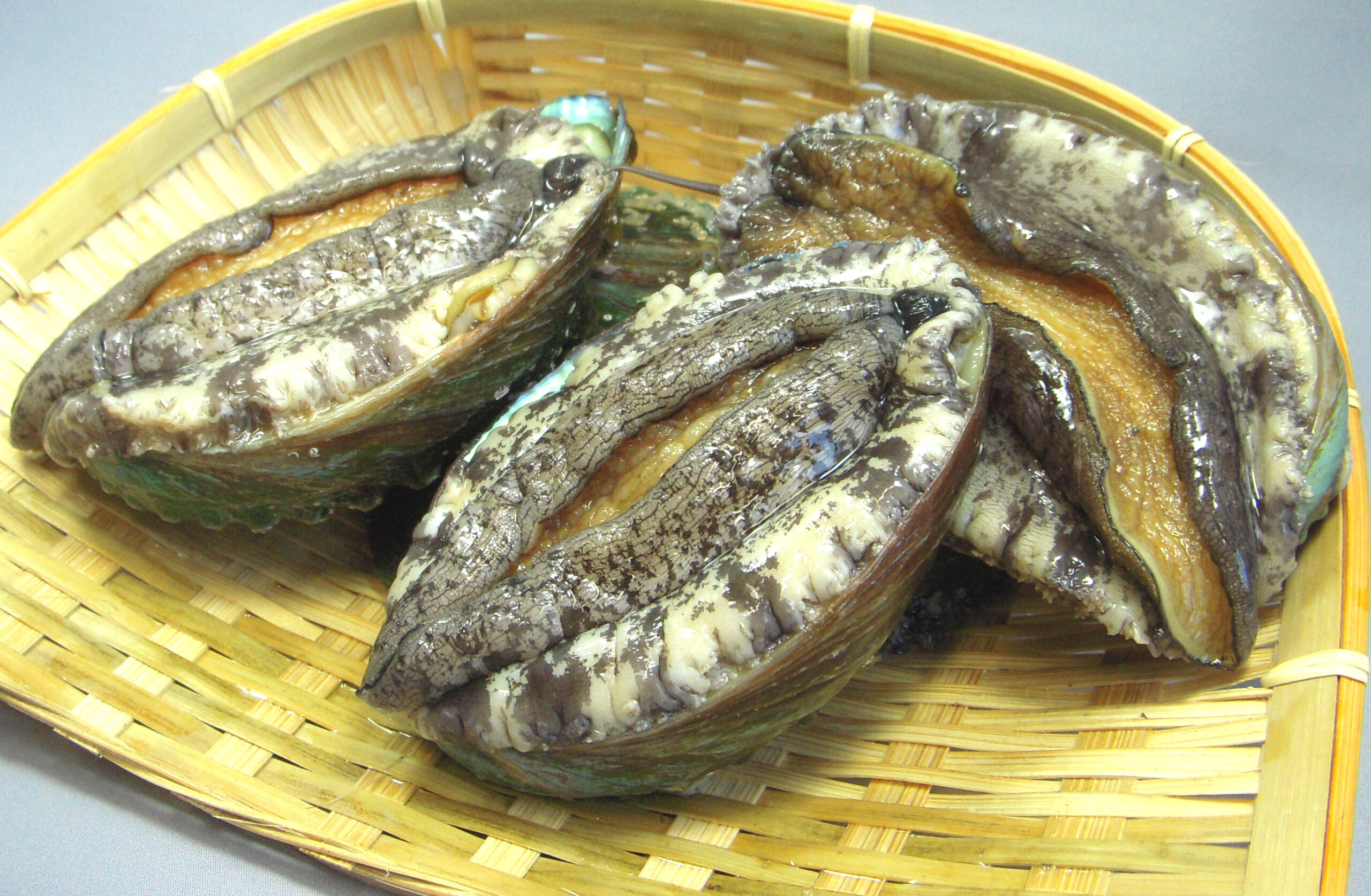 韓国産エゾアワビ