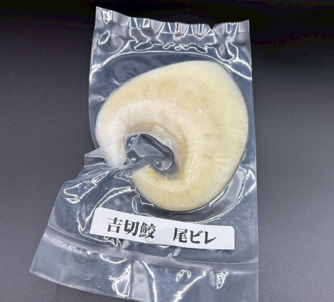 吉切鮫　尾びれ各サイズ