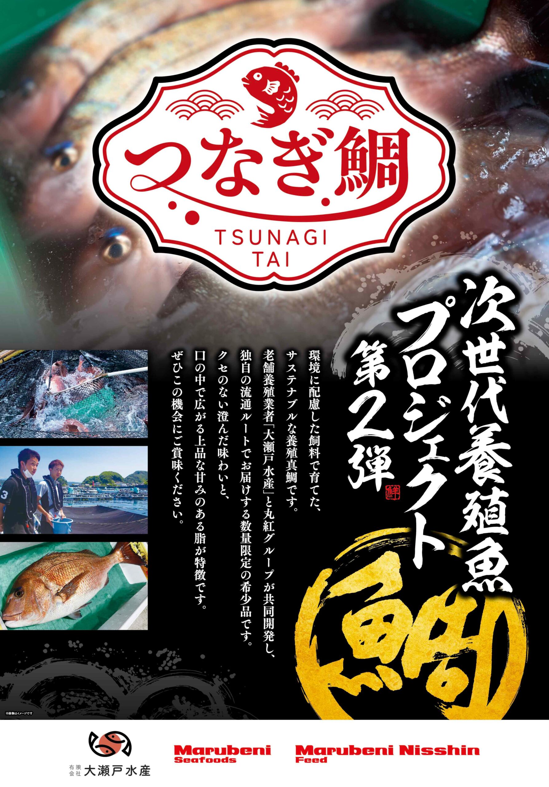 つなぎ鯛