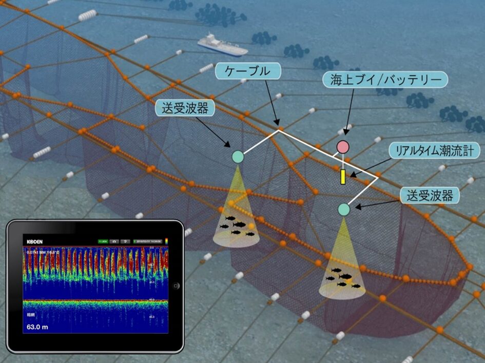ユビキタス魚探