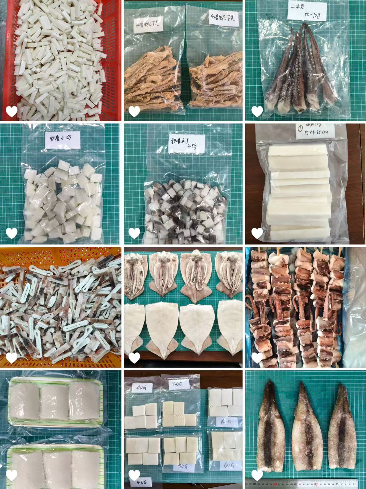 FROZEN SQUID RING/TUBE/CUT/FILLET/KARRAGE TENTACLE/SKEWER/ROLL/STEAK