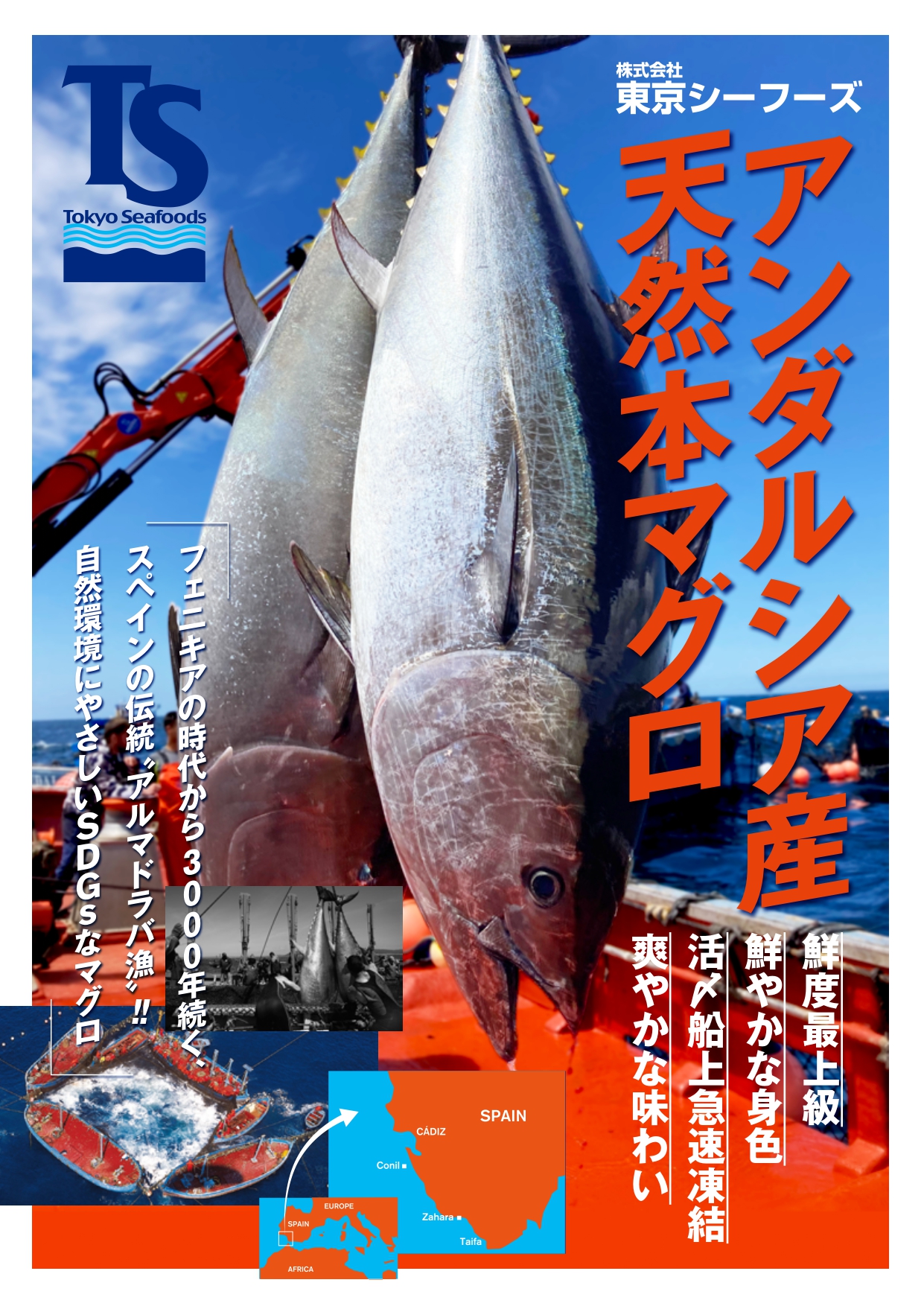 株式会社東京シーフーズ