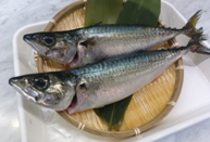 福の鯖