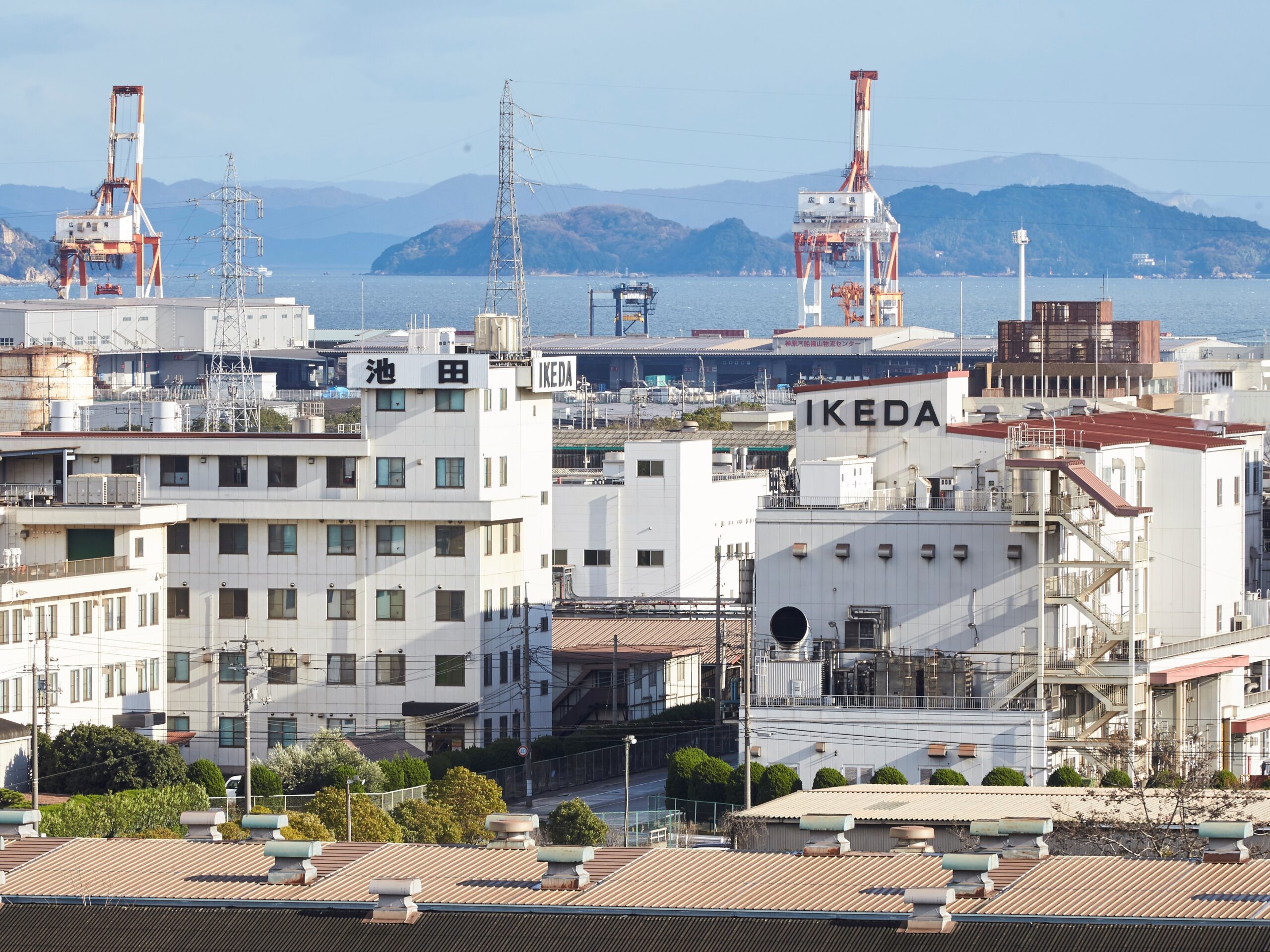 池田糖化工業株式会社