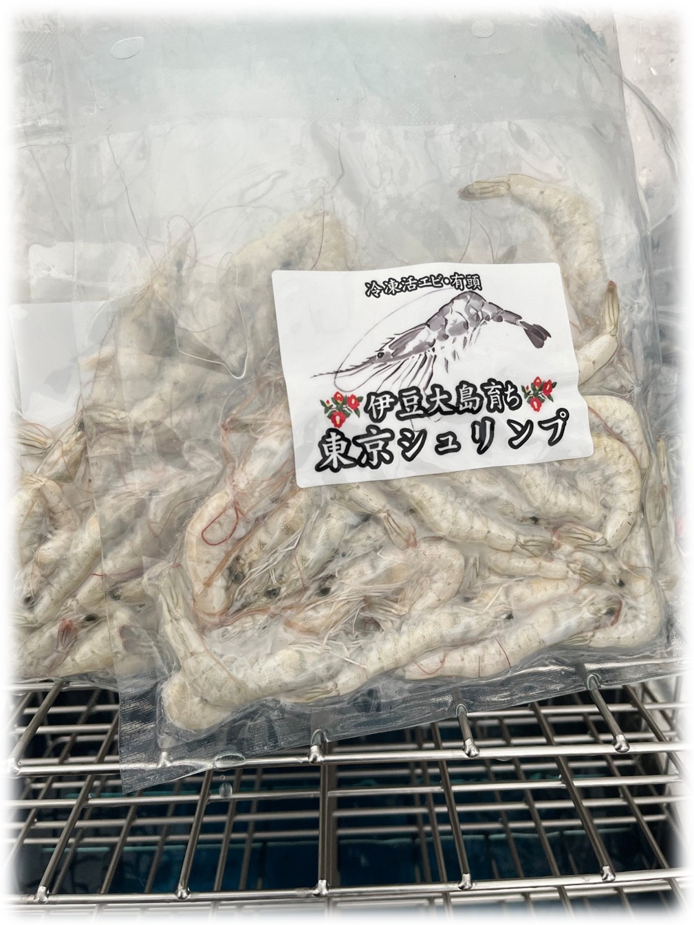伊豆大島育ち「東京シュリンプ」