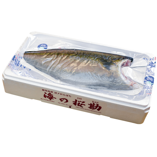 カマ付フィレ