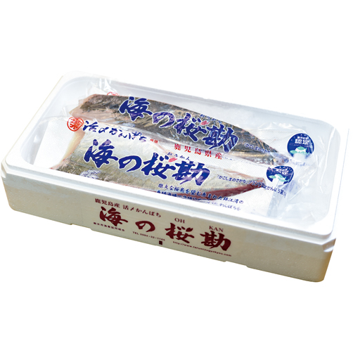 スキンレスロイン