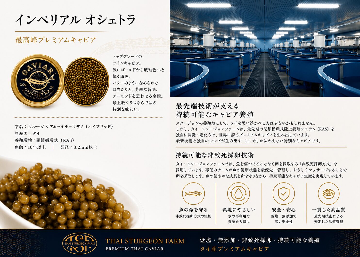 Thai Sturgeon Farm Co., Ltd.