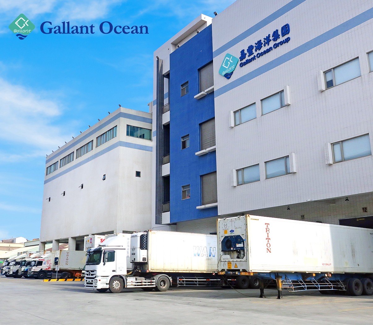 Gallant Ocean Group