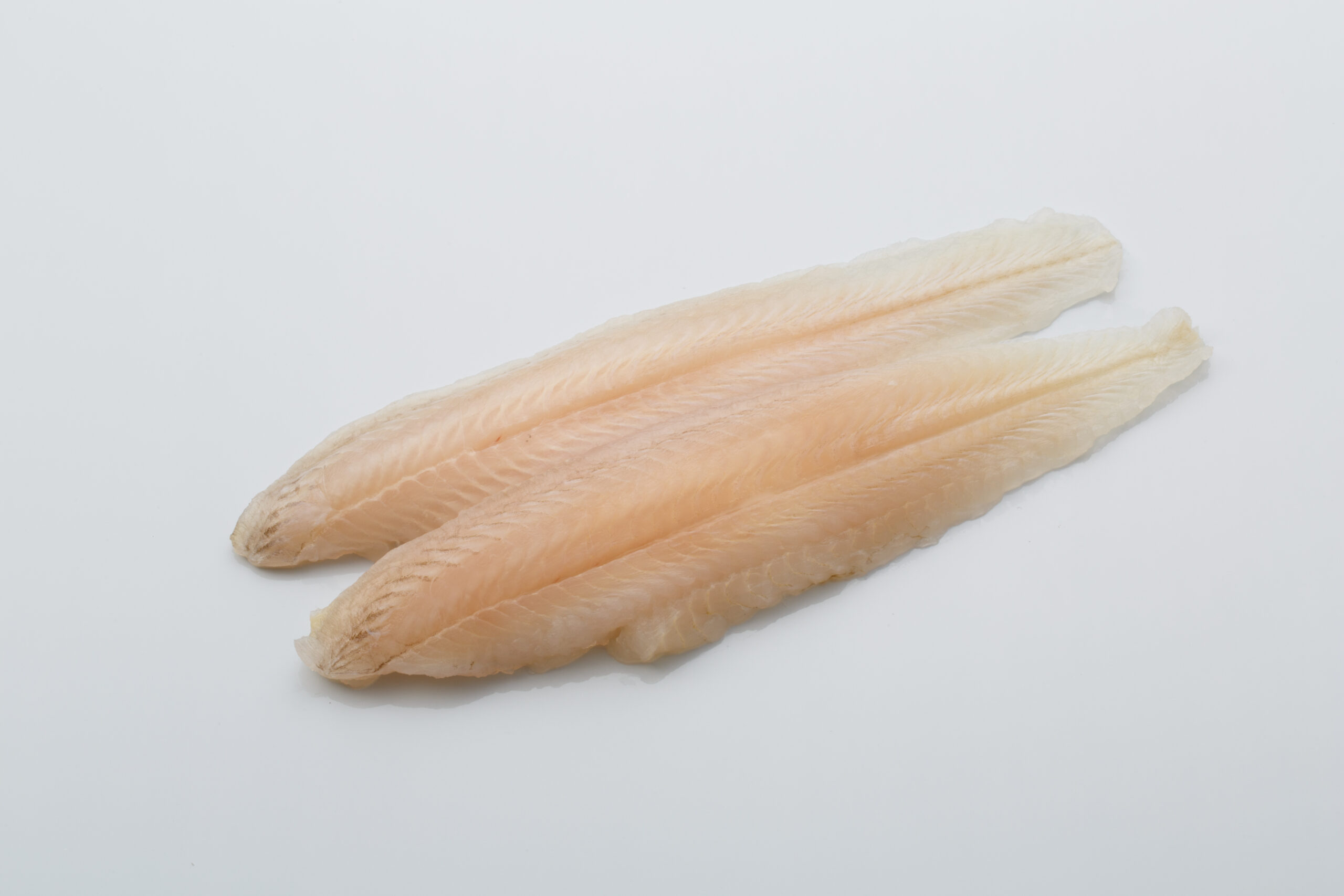 シタビラメフィレ