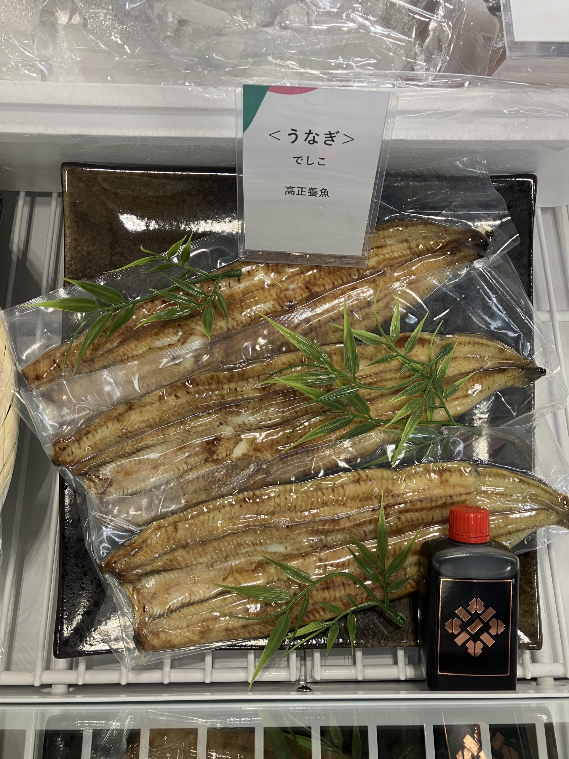 高正養魚 うなぎ