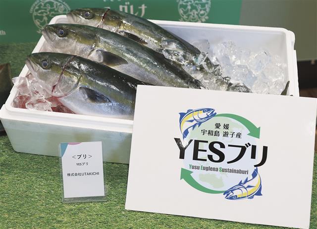 YESブリ