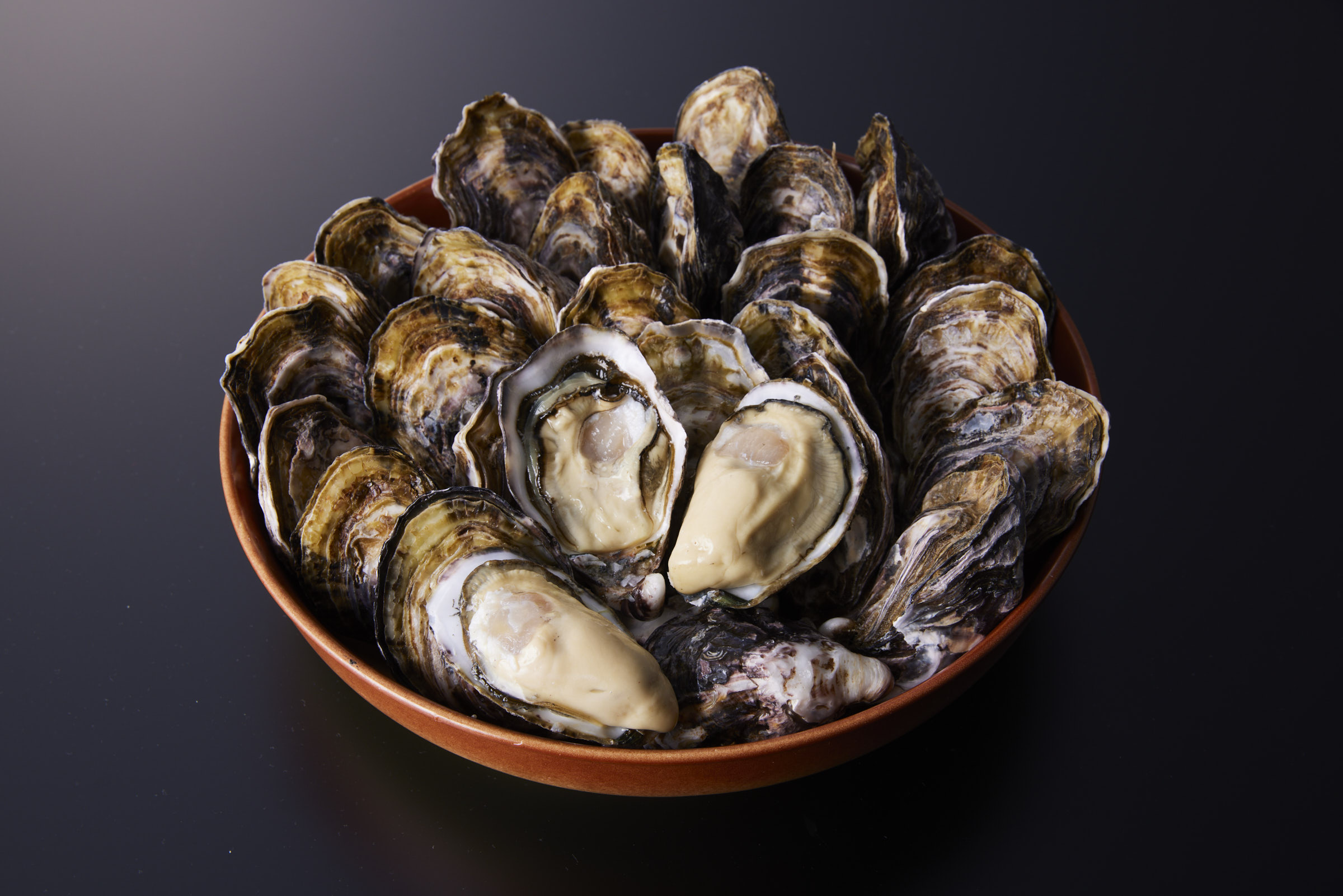 殻付き活真牡蠣【三倍体・シングルシード養殖・生食可能】