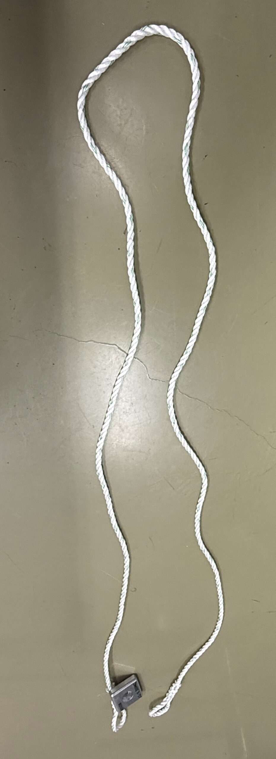 海藻成長促進材