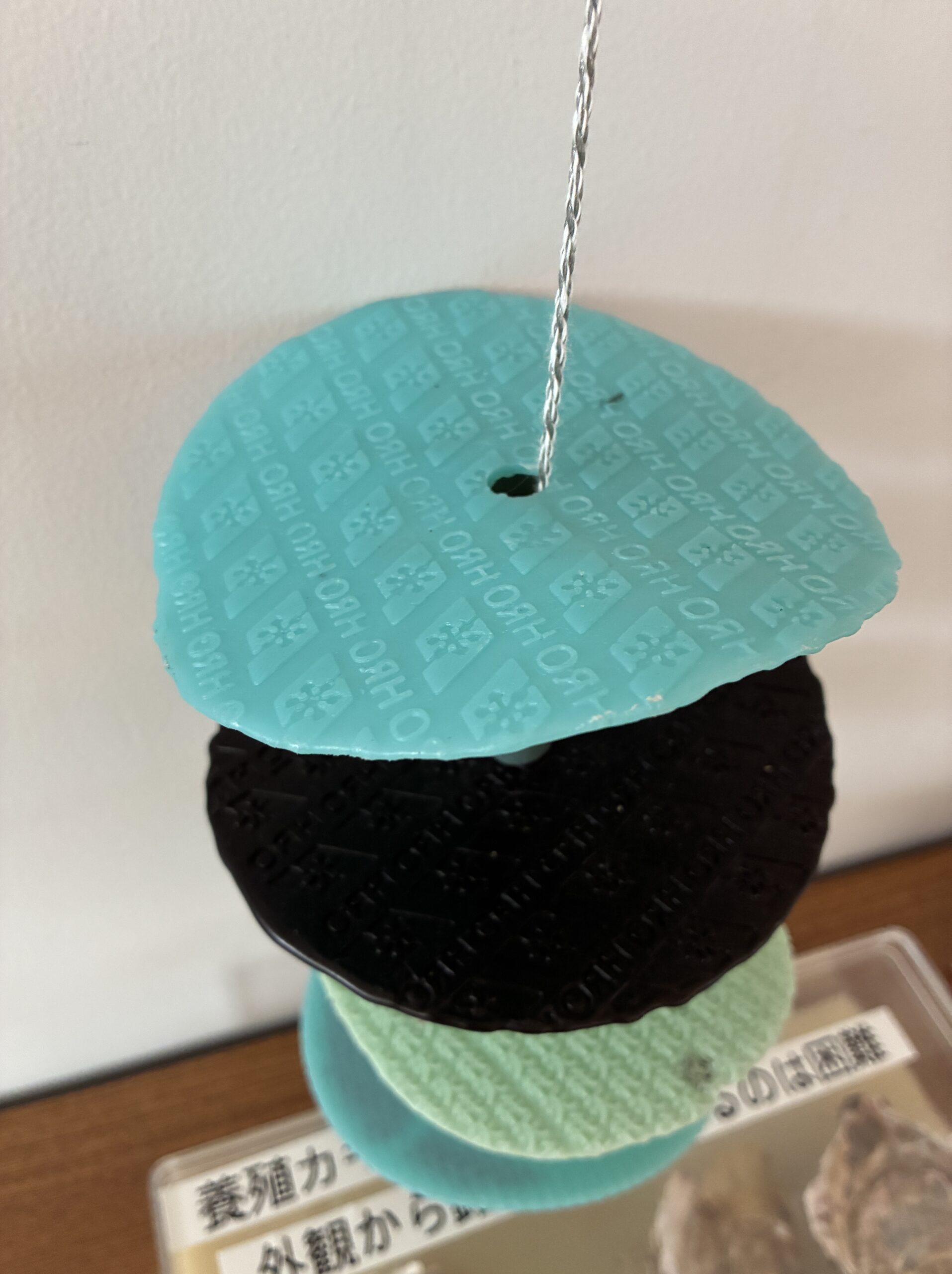 Oyster marker オイスターマーカー