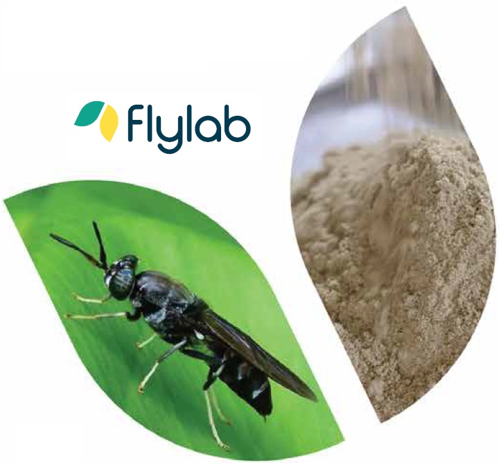 FLmeal