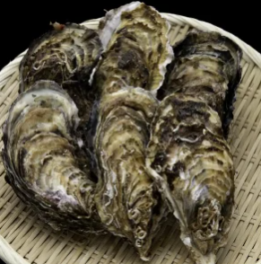 活牡蠣