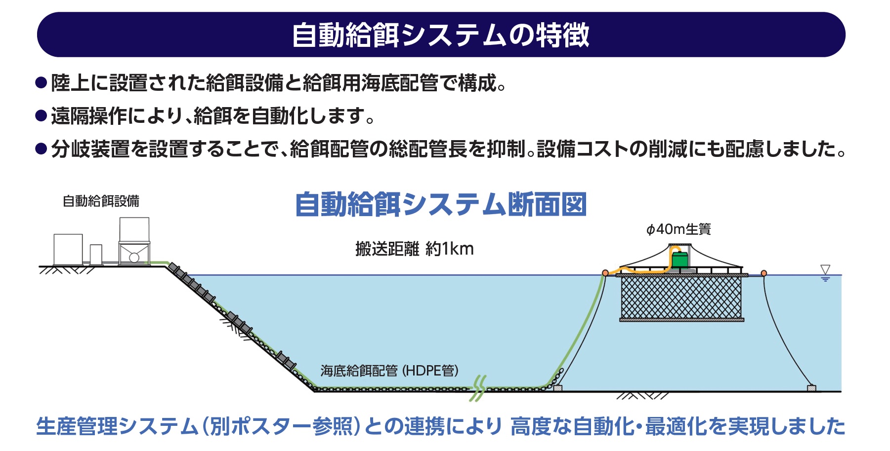 自動給餌システム