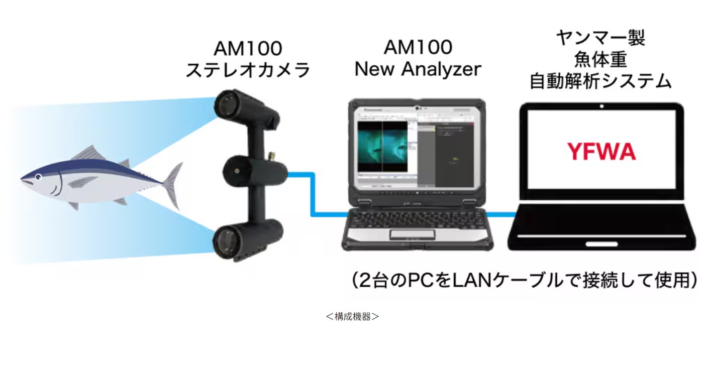 魚体重自動解析システムYFWA