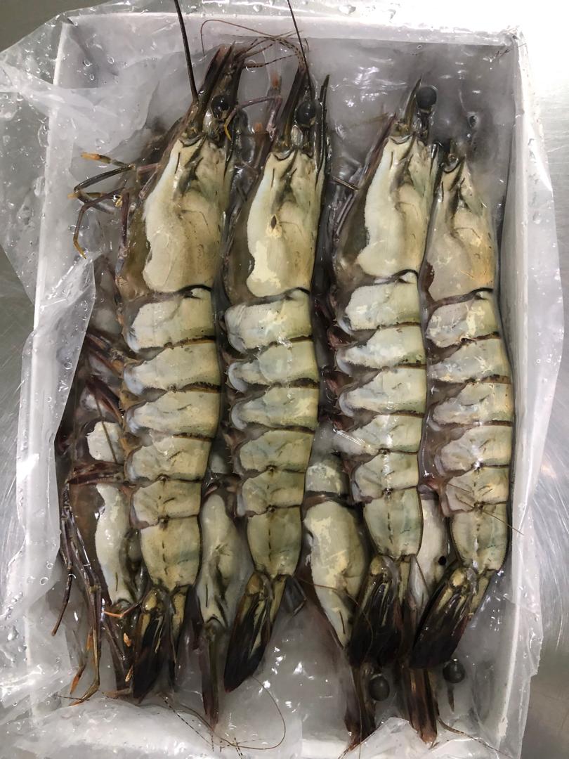 Frozen Black Tiger Shrimp