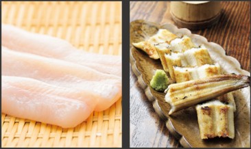 生食用アナゴ、IQF真穴子フィレ
