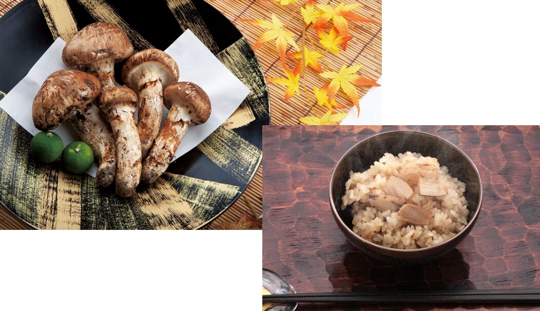 国産松茸（冷凍）、国産松茸御飯