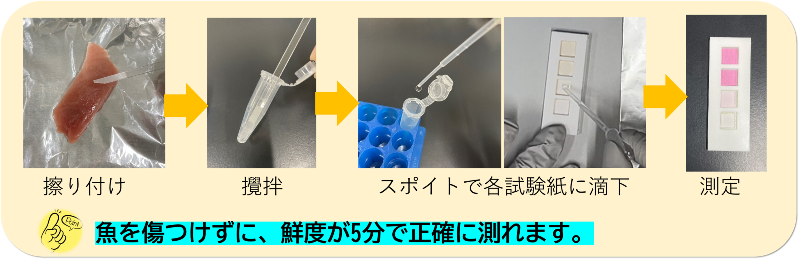 鮮度試験紙。5~10分で鮮度(K値)と旨味(IMP量)を測定!