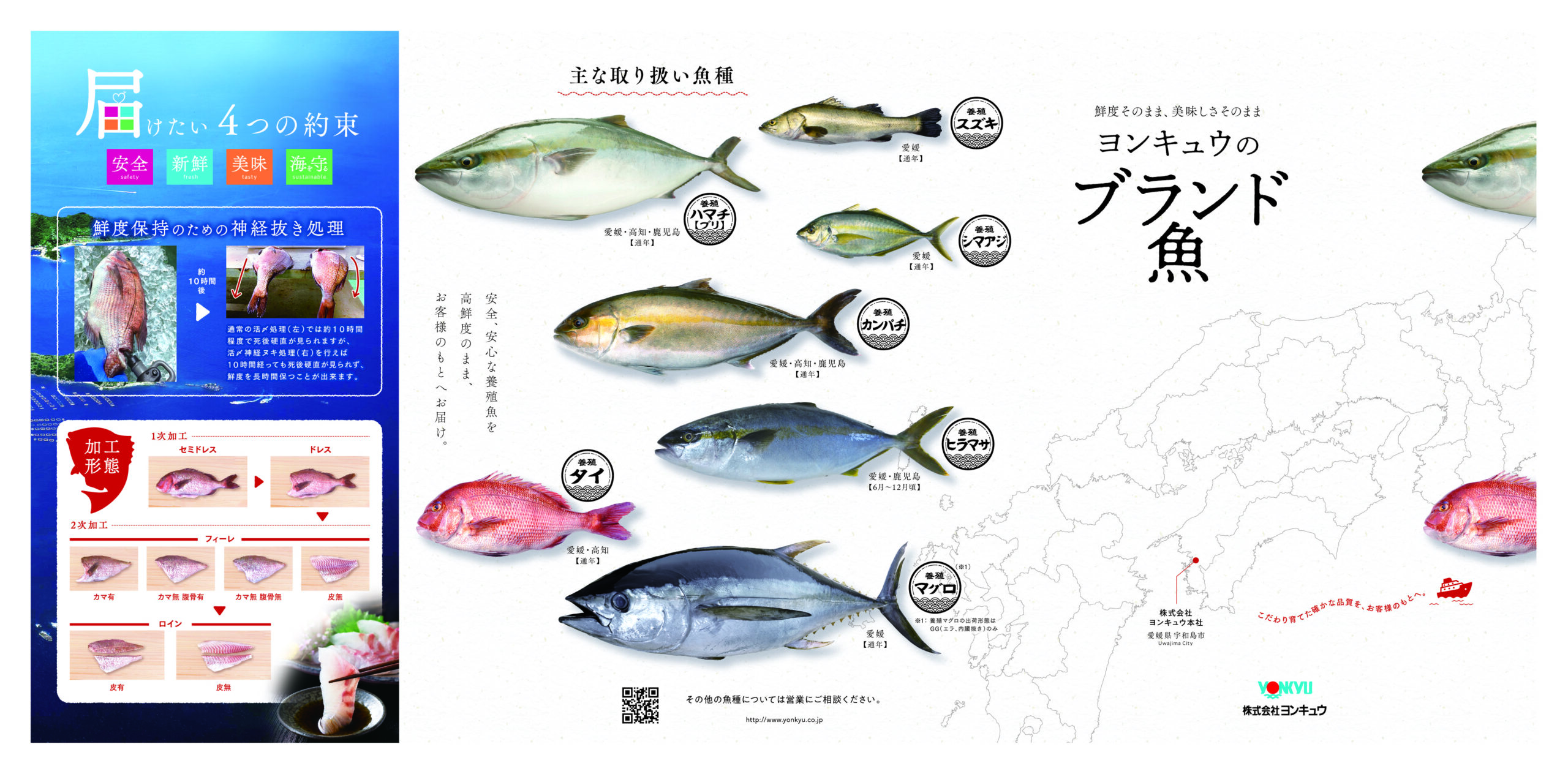 株式会社ヨンキュウ