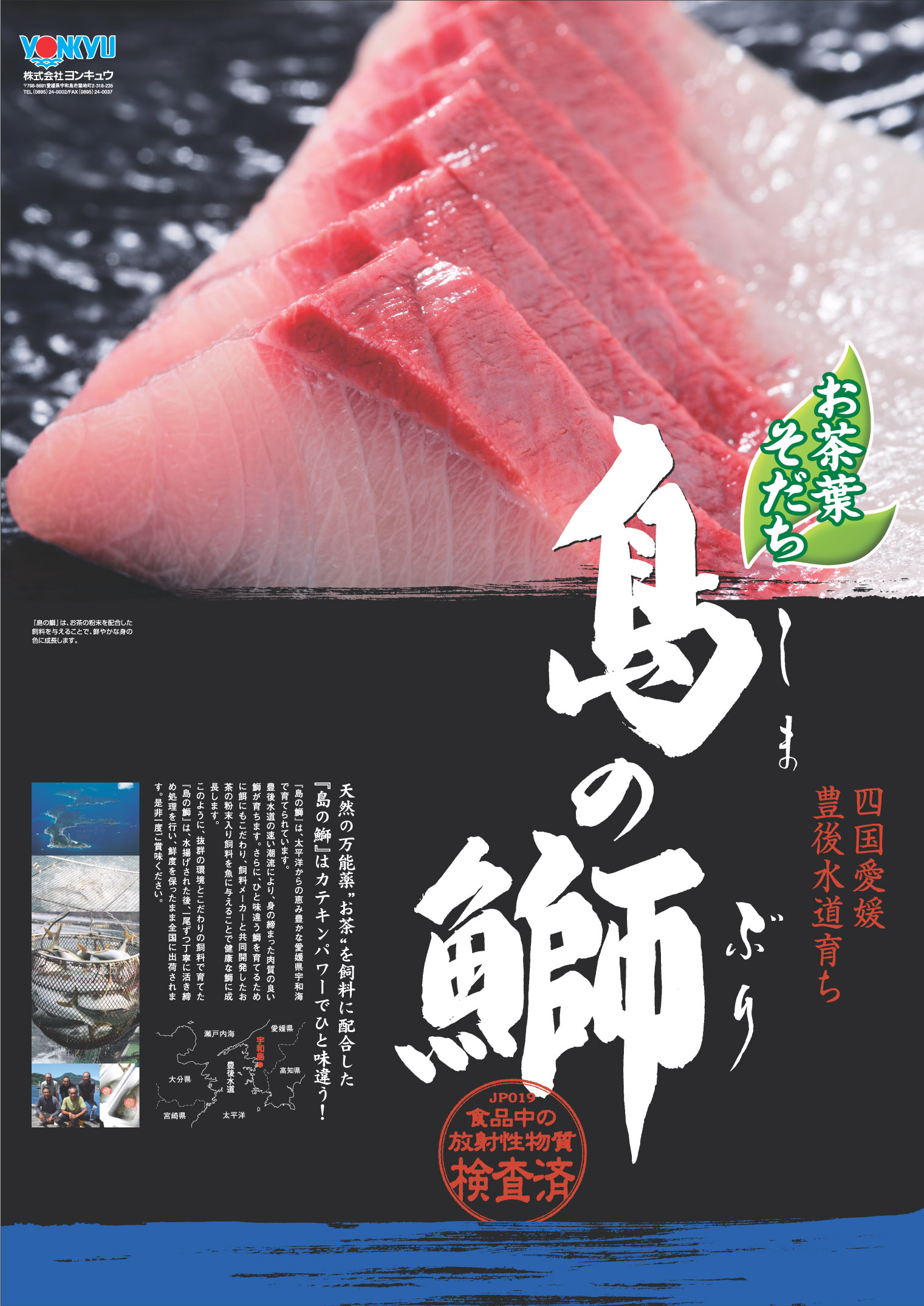 島の鰤