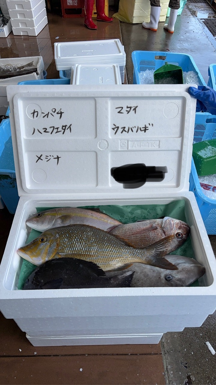 鮮魚BOX