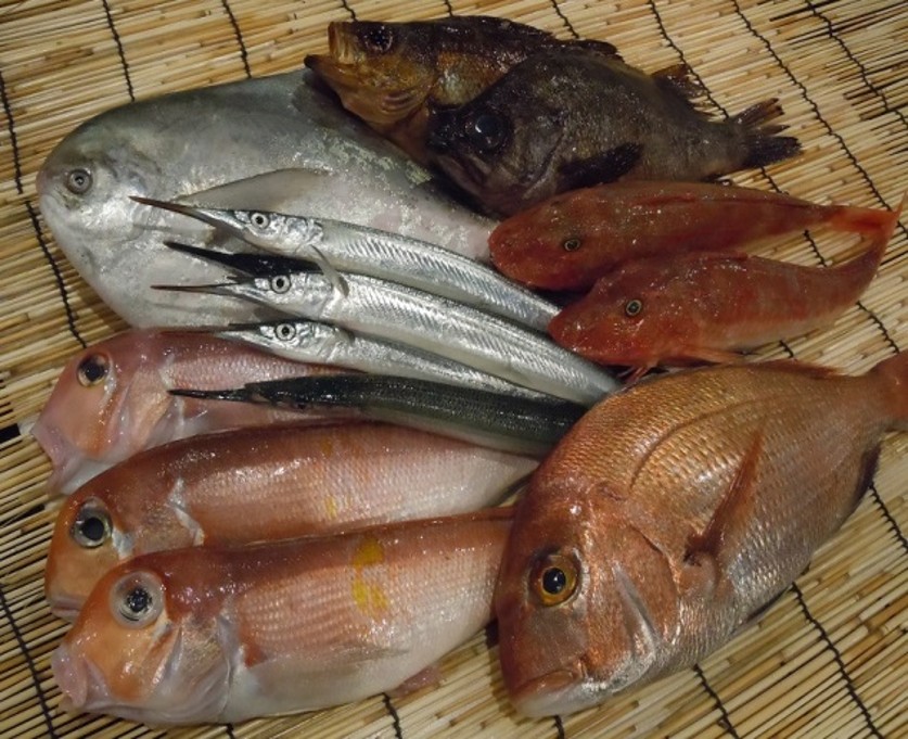 朝ぜり　徳島鮮魚便