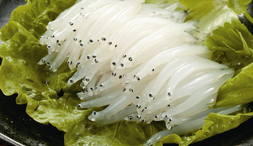 frozen silver fish