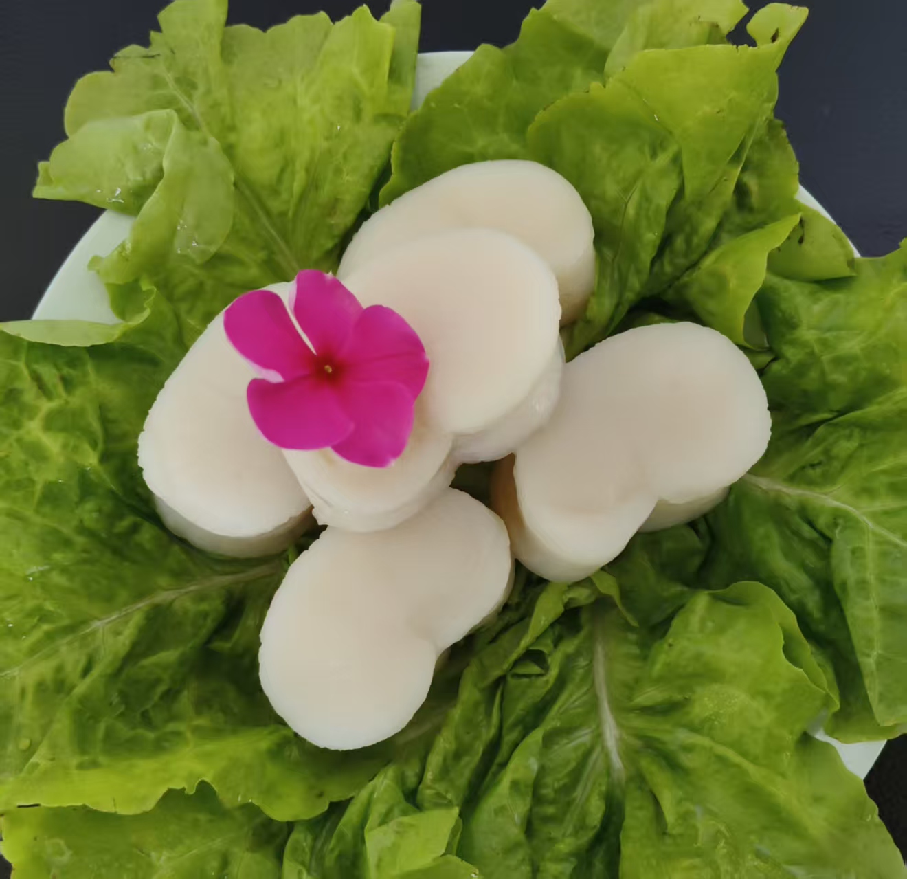frozen pen shell scallop meat