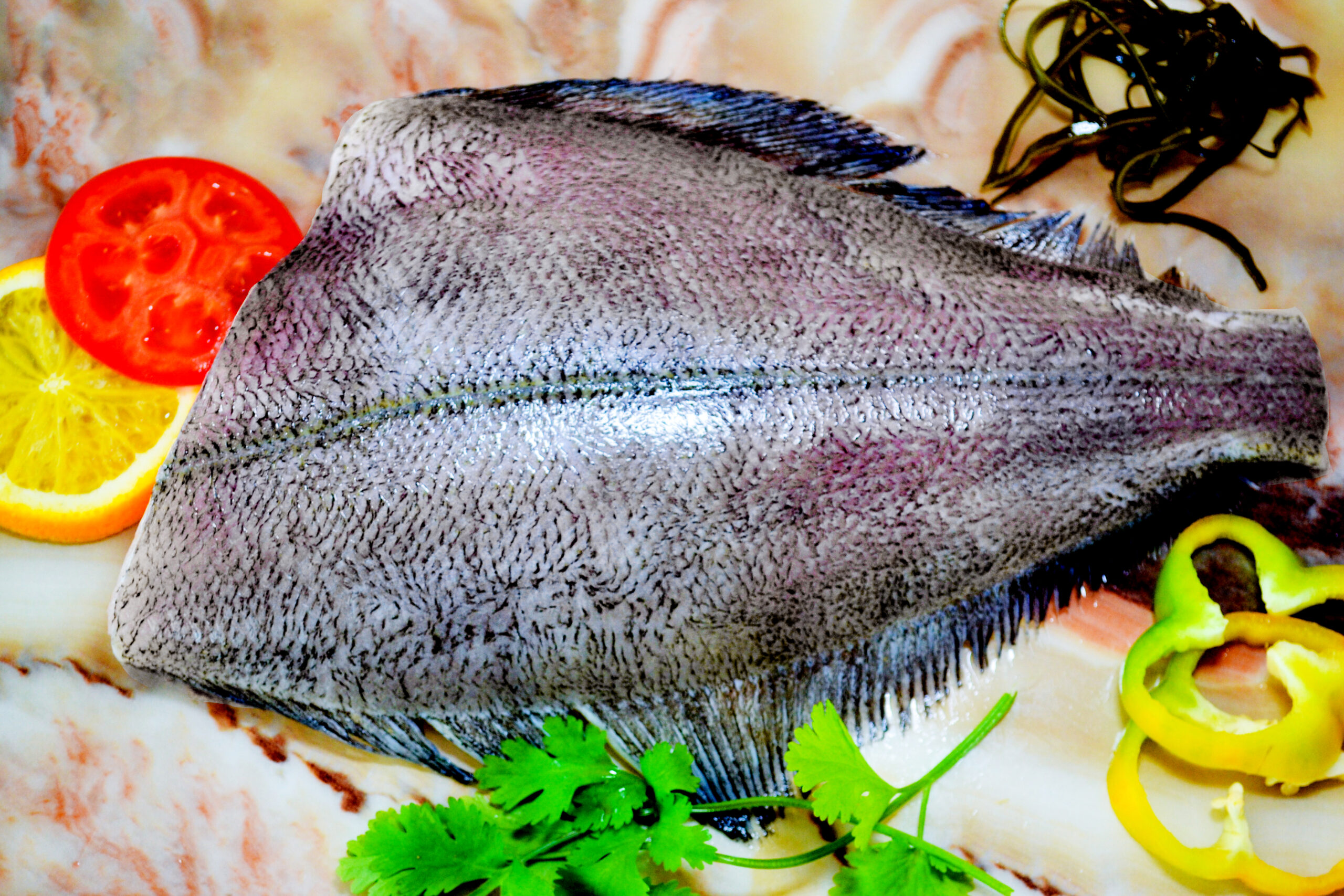 冷凍魚フィレ