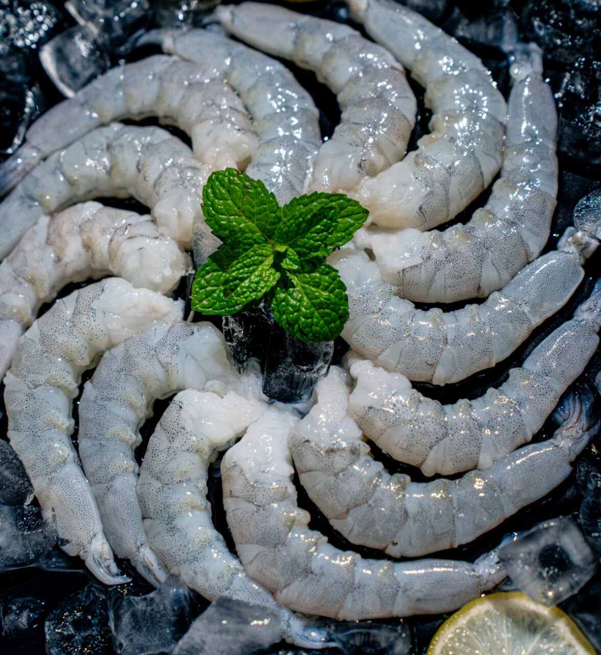 Ebi