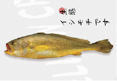 冷凍大イシモチ