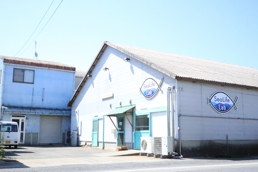 株式会社シーライフ