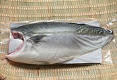 養殖ブリフィーレ