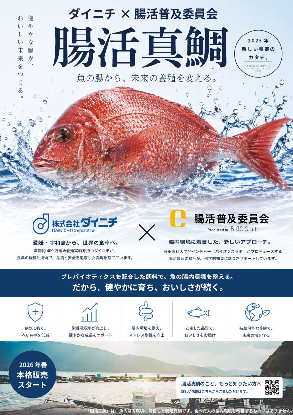 腸活真鯛