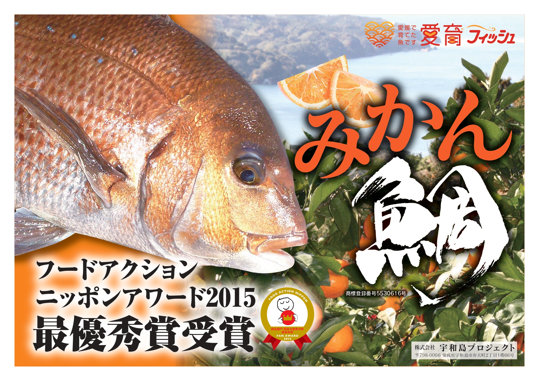 みかん鯛