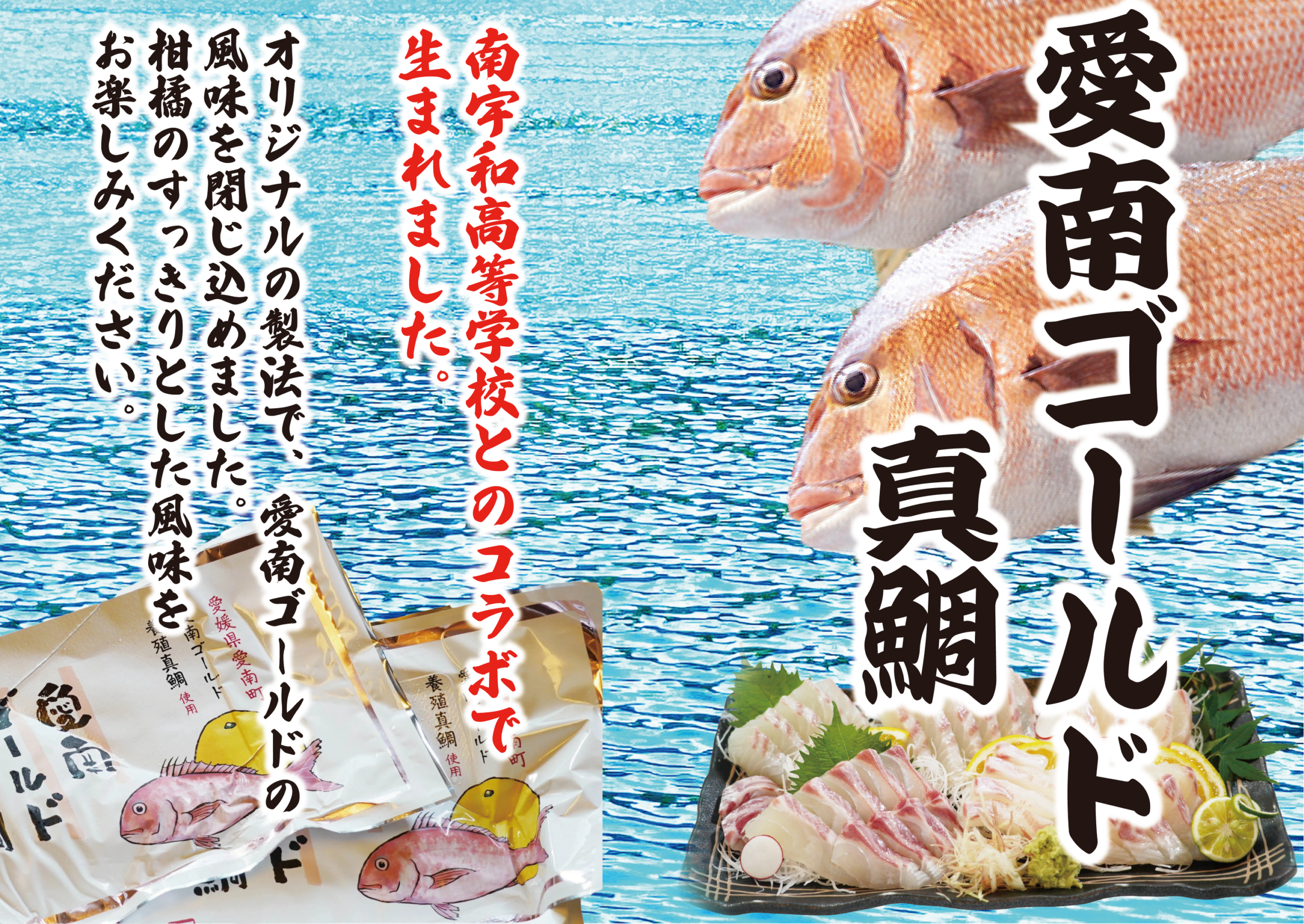 愛南ゴールド真鯛
