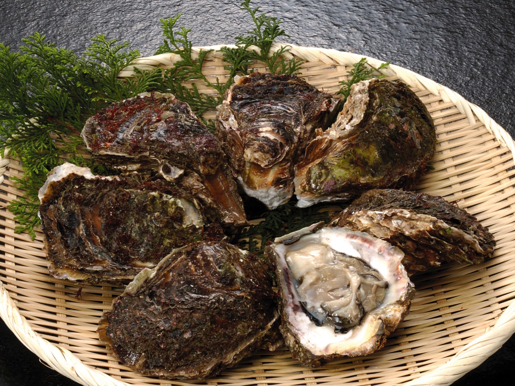 丹後の海育成岩がき