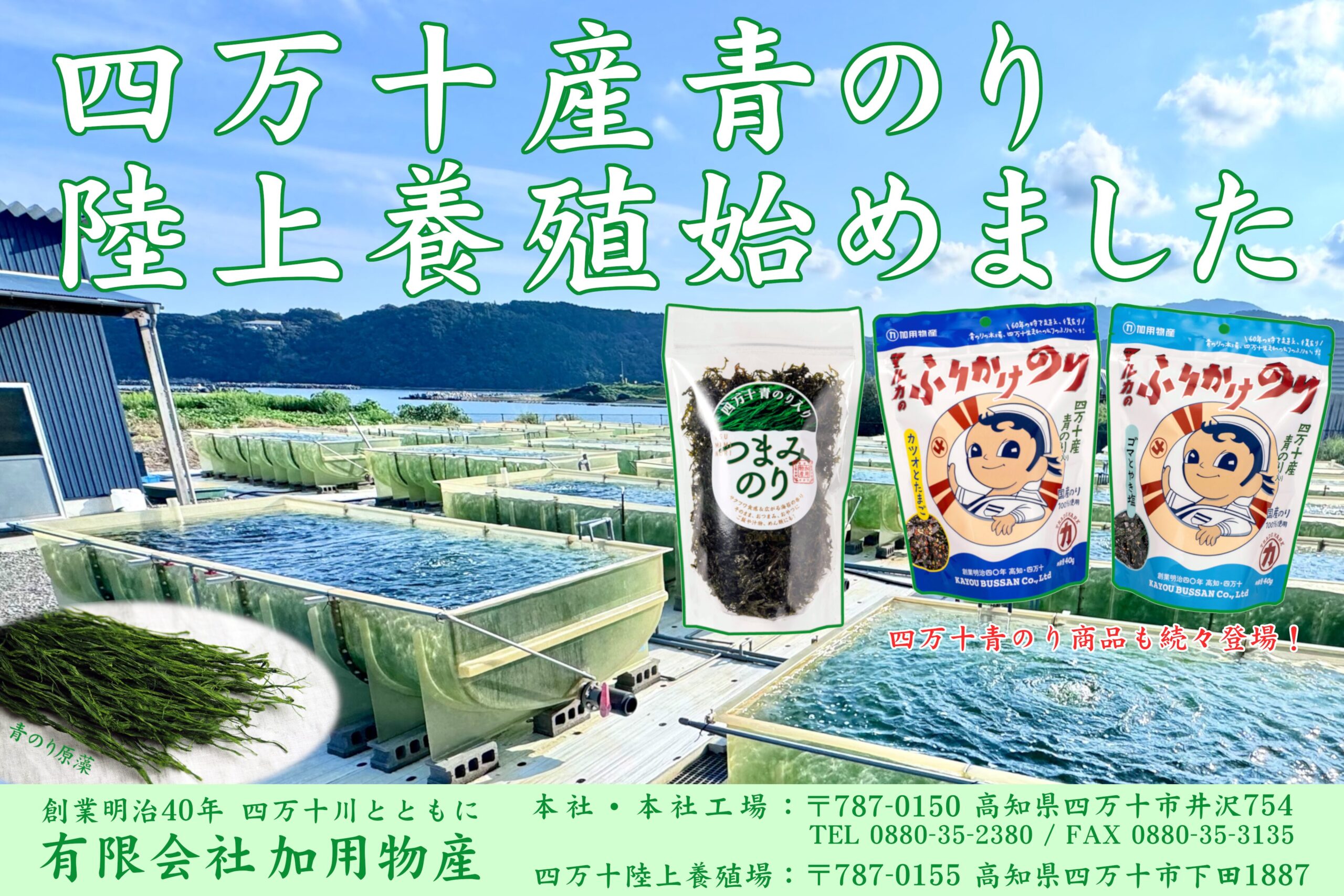 有限会社加用物産