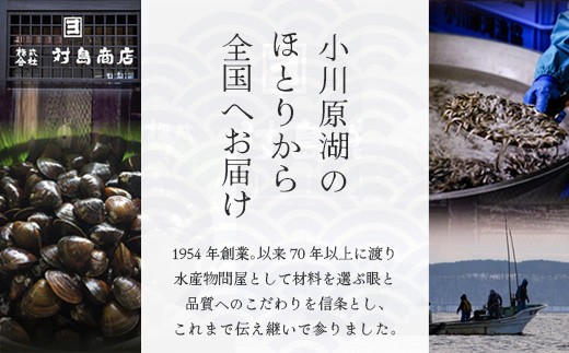 株式会社対島商店