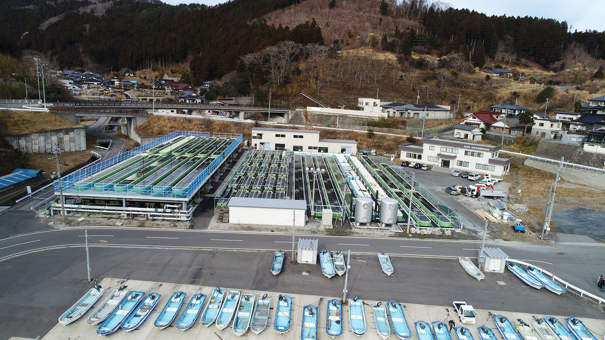 元正榮北日本水産株式会社