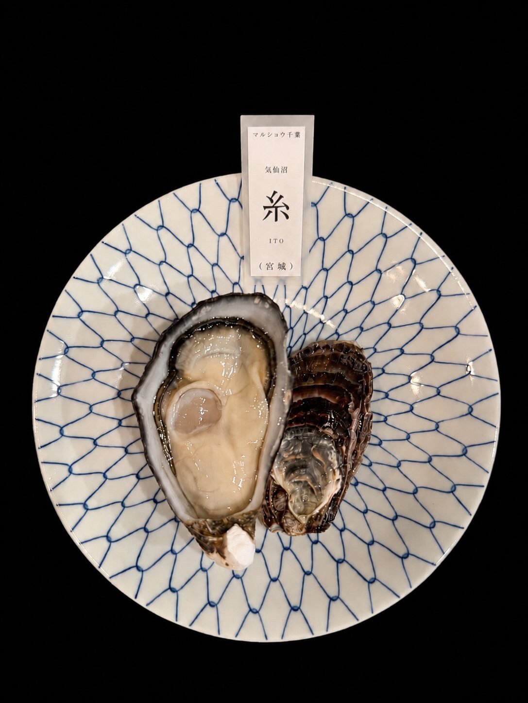 生鮮殻付き牡蠣「糸」三倍体シングルシード