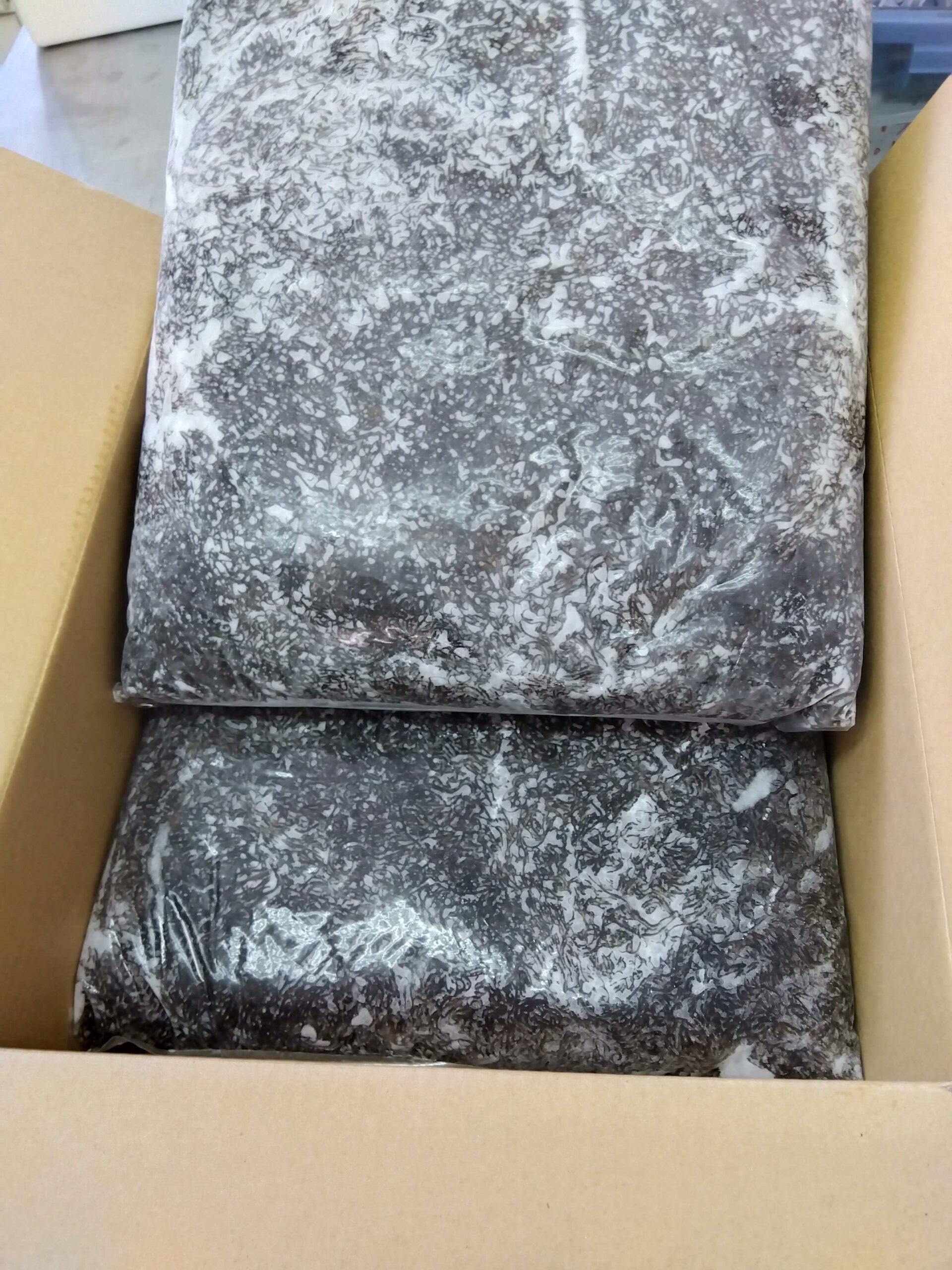 沖縄県産洗いもずく6kg×2入 加工向け