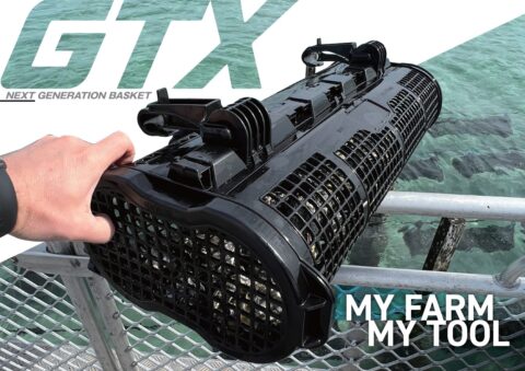 GTX 次世代 牡蠣養殖バスケット